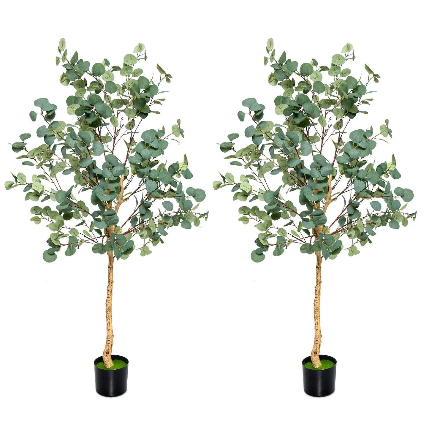 5.5 Feet Artificial Eucalyptus Tree with 517 Silver Dollar Leaves