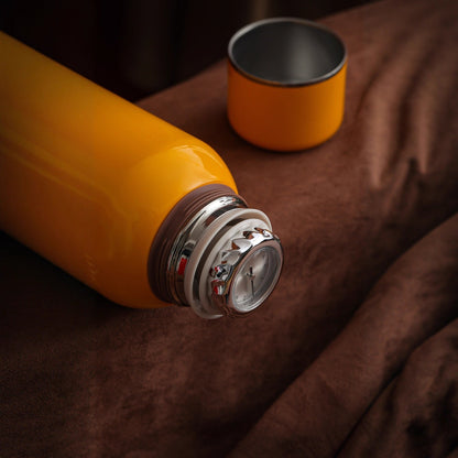 OutdoorIndoor Insulated Office Water Bottle