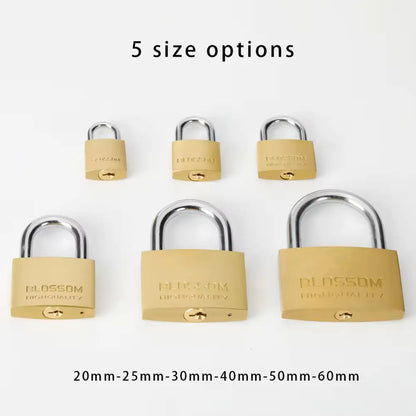 Brass Keyed Safety Padlock