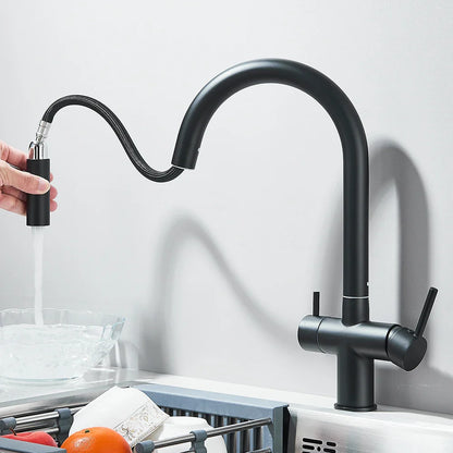 Filtered Kitchen Sink Faucet With Retractable Sprayer Brass Water Filter Tap Drinking Water Tap Vessel Sink Mixer For Kitchen