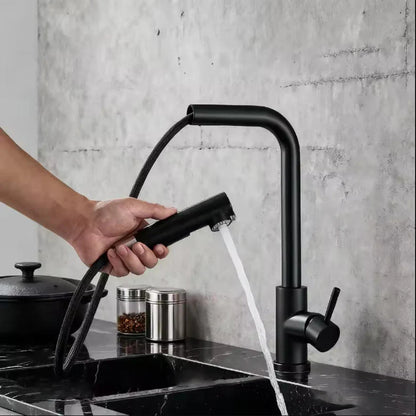 304 Stainless Steel Black Kitchen Faucet Two Function Single Handle Pull Out Mixer Hot and Cold Water Taps Deck Mounted
