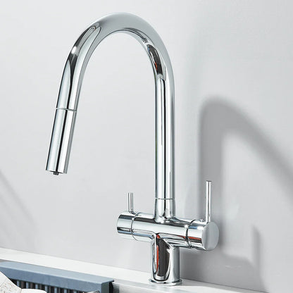 Filtered Kitchen Sink Faucet With Retractable Sprayer Brass Water Filter Tap Drinking Water Tap Vessel Sink Mixer For Kitchen