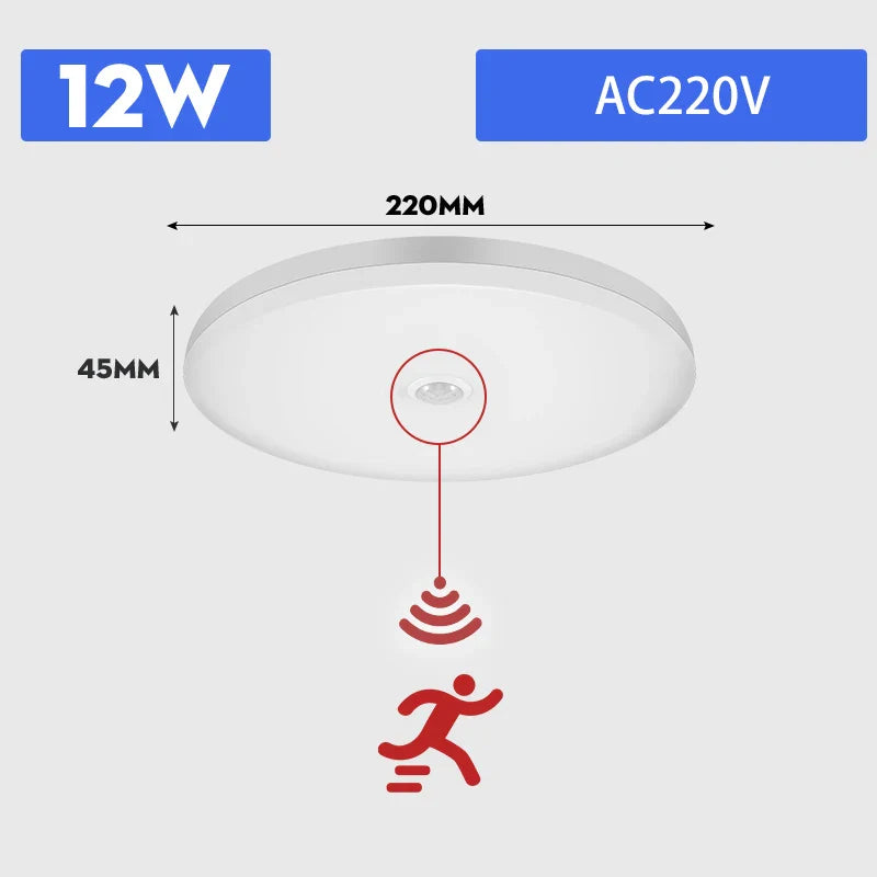 Motion Sensor Led Ceiling Lamps 110V 220V Surface Mounted PIR Light For Living Room Panel Lights Fixture