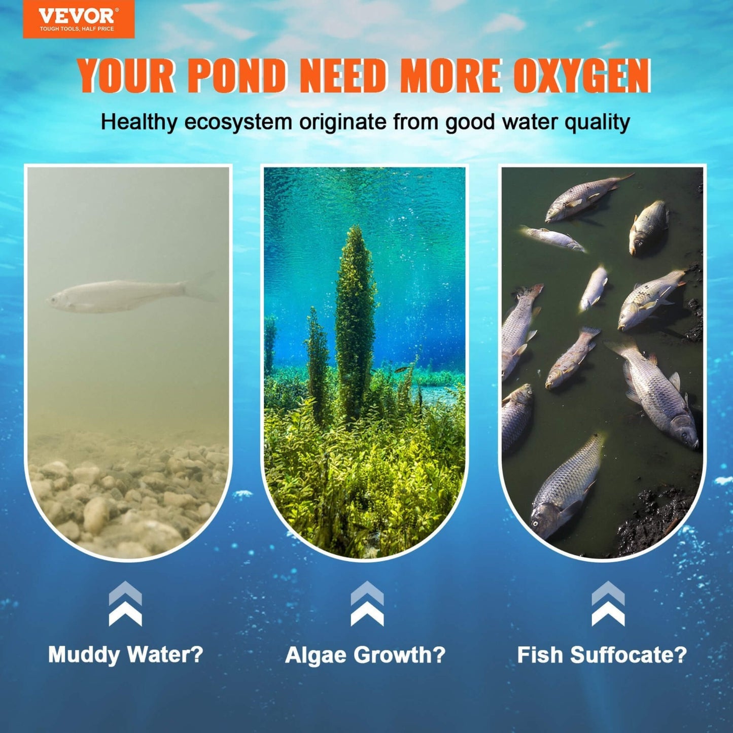 Heavy-Duty Pond Aerator Kit With Compressor, Diffusers And Weighted Tubing (SAK08795)