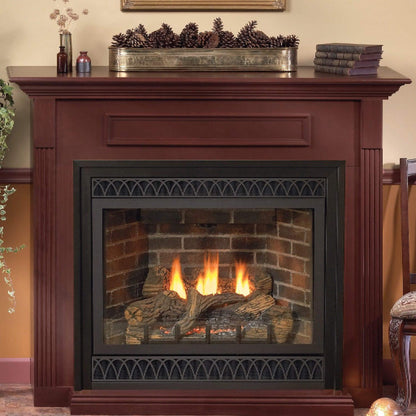 White Mountain Hearth (Empire) Tahoe 48-Inch Intermittent Pilot Propane Gas Direct Vent Deluxe Fireplace W/ On/Off Switch [DVD48FP70P] (SAK40376)